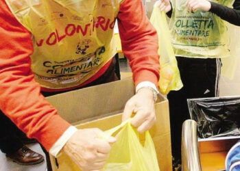 Colletta Alimentare a Castrovillari, raccolti oltre 4600kg di alimenti