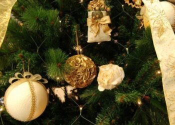 Ciro’ Marina: concerto di Natale della Donizetti