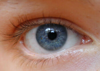 Trapianti cornea, convegno Aido a Mesoraca