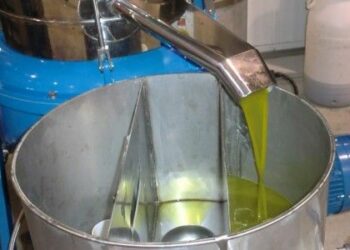 L’innovazione nel settore oleario vista da Sud