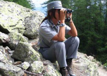 Come diventare Guardia Forestale