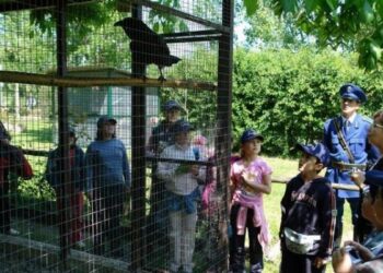 Protezione uccelli, dal Cipr di Rende un anno positivo