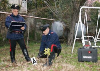 Carabinieri bussano alla porta di casa, pregiudicato butta pistola dalla finestra