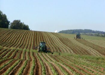 Psr 2014-2020, oltre un miliardo per l’agricoltura calabrese