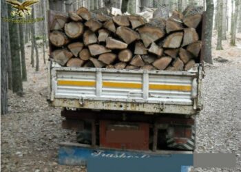 Furti di legna a Petilia Policastro e Rocca di Neto: tre denunce