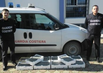 Sequestrati a Corigliano 60 chili di bianchetto, donati in beneficenza