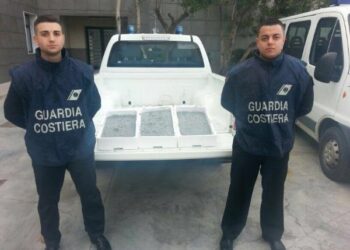 Sequestrati 21kg di Bianchetto a Ciro’ Marina