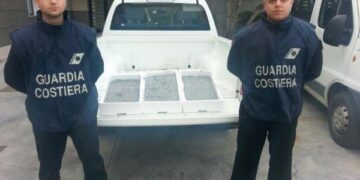 Sequestrati 21kg di Bianchetto a Ciro’ Marina