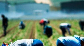 Falsi braccianti, due arresti e 460 denunce nel catanzarese