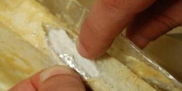 Peluche adornati con cocaina e abiti foderati con marijuana