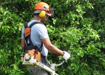 Offerte di Lavoro per Giardinieri e Florovivaisti