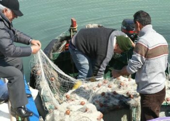 Royalties, ripartiti le somme ai pescatori di Isola Capo Rizzuto