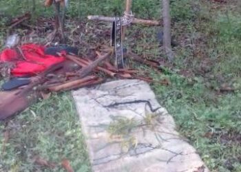 Riti satanici nella Pineta di Ciro’ Marina