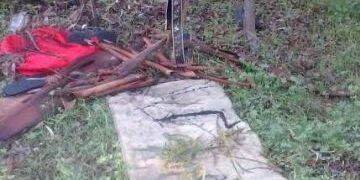 Riti satanici nella Pineta di Ciro’ Marina