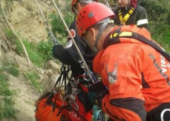 Cane salvato dai Vigili del Fuoco