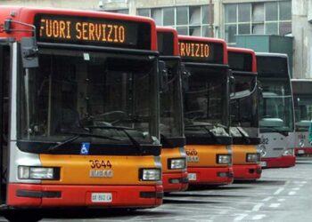 Concorso per Autisti, 350 nuove assunzioni al Comune