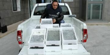 Pesca, sequestrati 100 chili di ‘bianchetto’