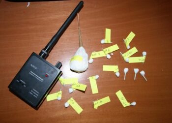 Spaccio di cocaina a Girifalco, arrestato 28enne