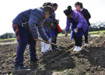 Studenti diventano ‘contadini’ nei beni confiscati a Isola Capo Rizzuto