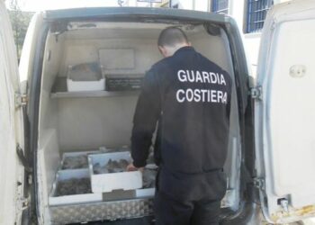 Vendevano pesci con parassiti davanti i supermercati, denunciati