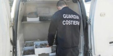 Vendevano pesci con parassiti davanti i supermercati, denunciati