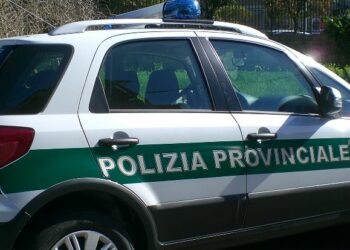 Crotone, verso la formazione del Corpo di Polizia Provinciale
