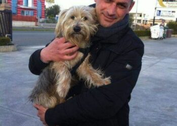 Molly la cucciola di Yorkshire intrappolata sulle rotaie