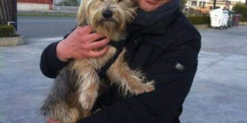 Molly la cucciola di Yorkshire intrappolata sulle rotaie