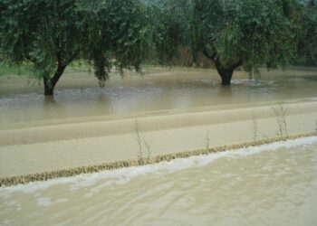 Calamita’ naturali, parte il Piano assicurativo per gli agricoltori