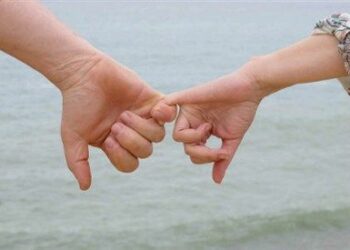 Unioni Civili, Villirillo: insorta gogna mediatica destra crotonese