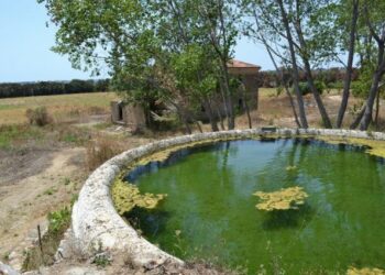 Isola Capo Rizzuto, orto sociale della biodiversita’ sui terreni confiscati