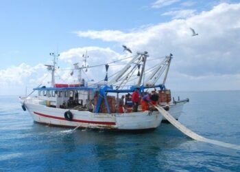 Lega Pesca: settore allo stremo. Nuovo appello a Regione