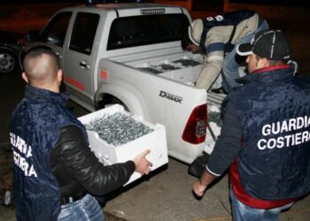 Pesca illegale, sequestrati 100 chili di bianchetto