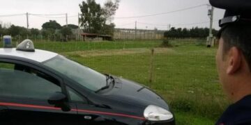 Rubavano pecore a Sant’Anna, arrestati 3 pakistani