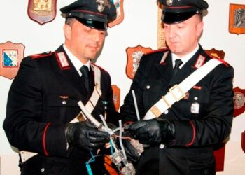 Castelsilano, arrestato imprenditore agricolo per furto di energia elettrica