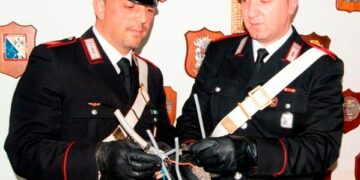 Castelsilano, arrestato imprenditore agricolo per furto di energia elettrica