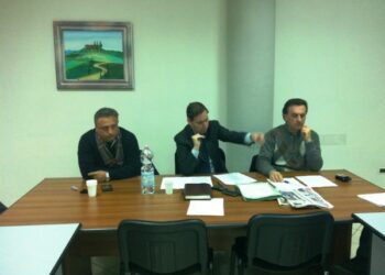 Bucita, class action sindaci contro dipartimento ambiente