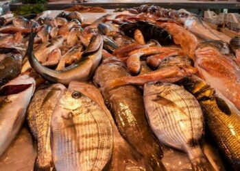 Mercato ittico a Ciro’ Marina, bando per l’assegnazione in concessione