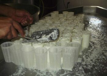 Le aziende agricole del crotonese aprono le porte alle scuole