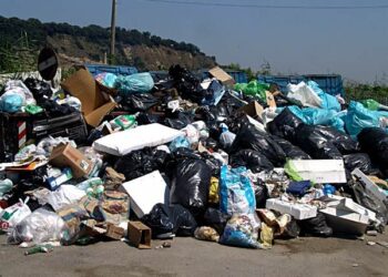 Emergenza rifiuti, GD: affidare gestione alle province