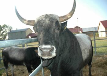 L’Apz e la Cooperativa Bioagrizoo aderiscono alla LegaCoop