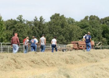 Scoperti falsi braccianti a Isola Capo Rizzuto, 23 denunce