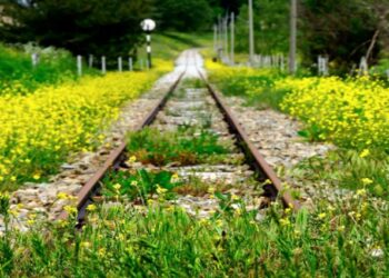 A Crotone si celebra la Giornata delle Ferrovie Dimenticate