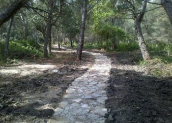 Realizzato sentiero attrezzato nel Bosco del Pantano di Strongoli