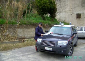Furto di energia elettrica, controlli dei Carabinieri nei negozi