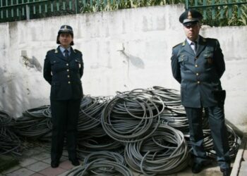 Sequestrati duemila chili rame, 6 denunce