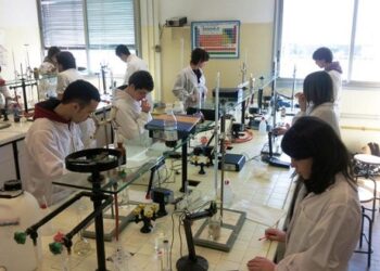 Concorsi al Ministero dell’Agricoltura, Borse di Studio da 15000 euro