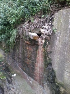 Fogna nei pressi di  struttura sanitaria