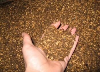 Scarico reflui illegali a Rossano, denunciato titotare di sansificio