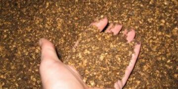 Scarico reflui illegali a Rossano, denunciato titotare di sansificio